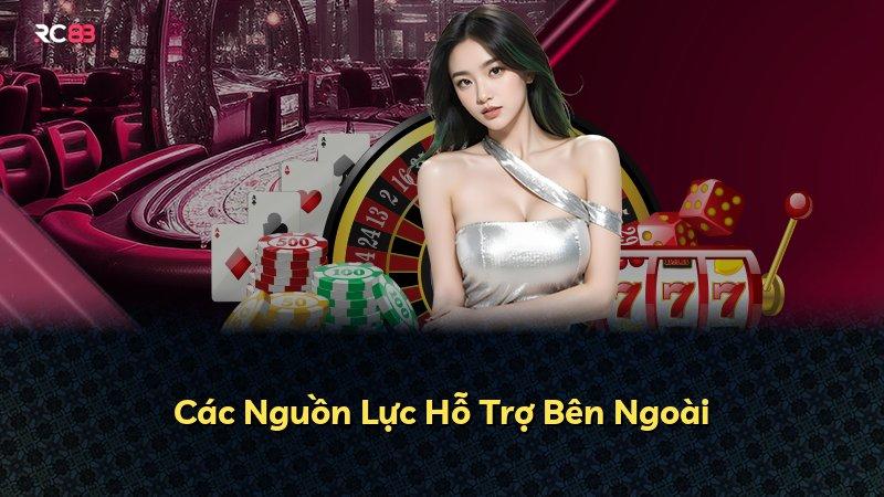 Các Nguồn Lực Hỗ Trợ Bên Ngoài