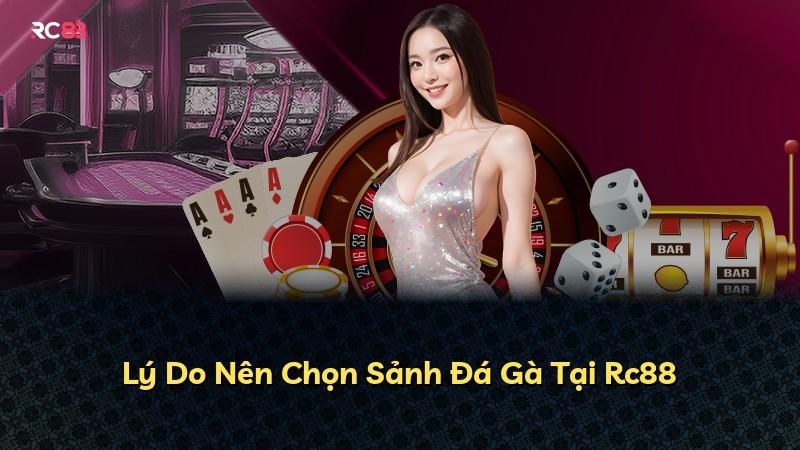 Lý Do Nên Chọn Sảnh Đá Gà Tại Rc88