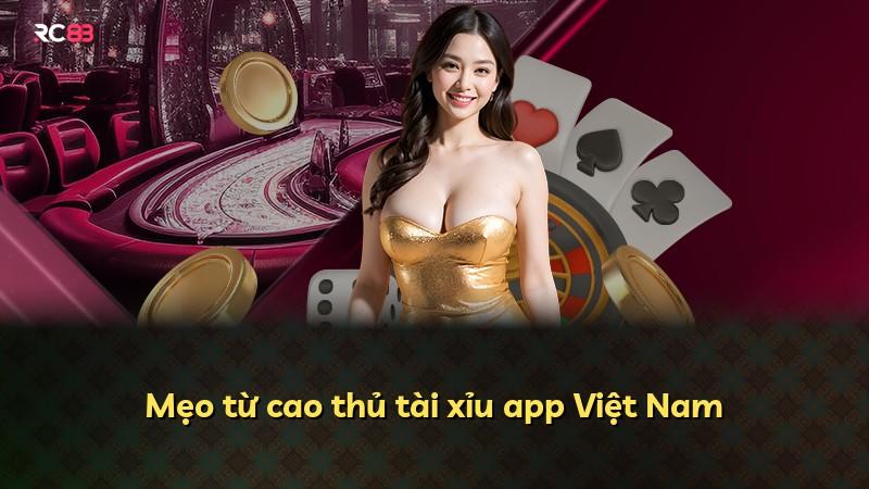 Mẹo từ cao thủ tài xỉu app Việt Nam