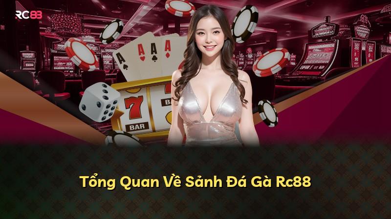 Tổng Quan Về Sảnh Đá Gà Rc88